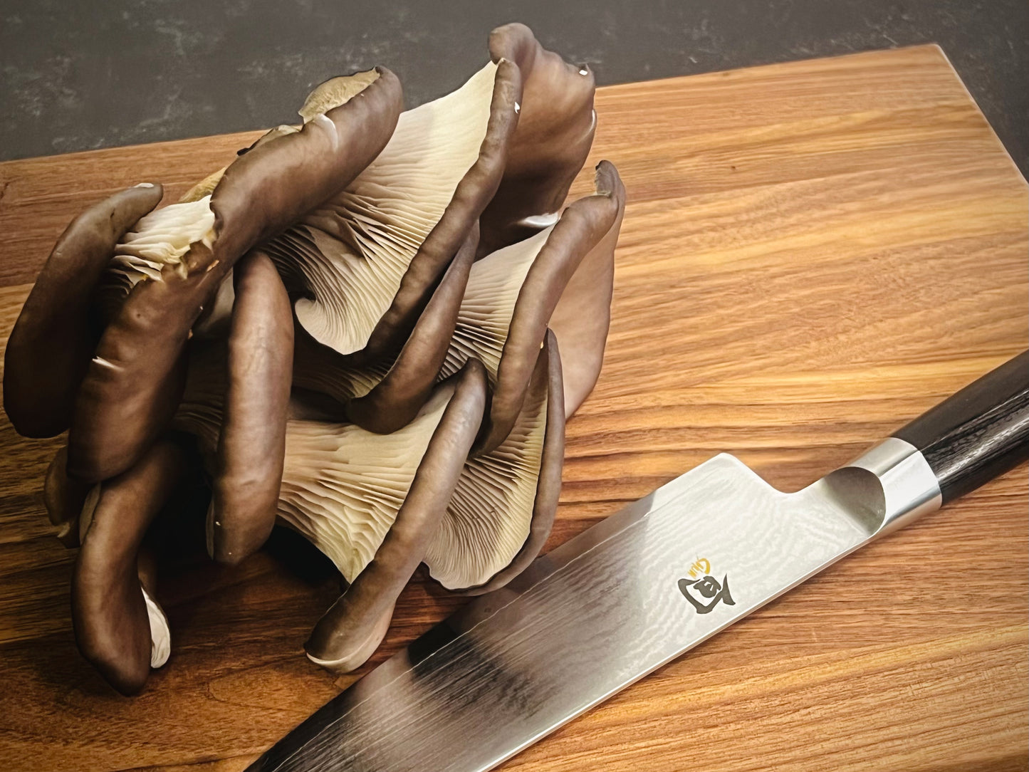 Fresh Blue Oyster Mushrooms