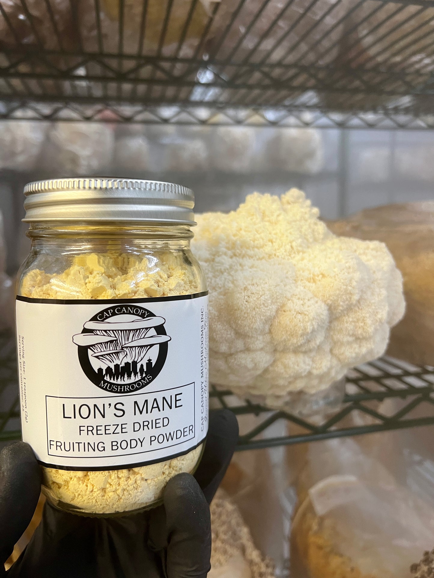 Freeze Dried Lions Mane Powder 50g