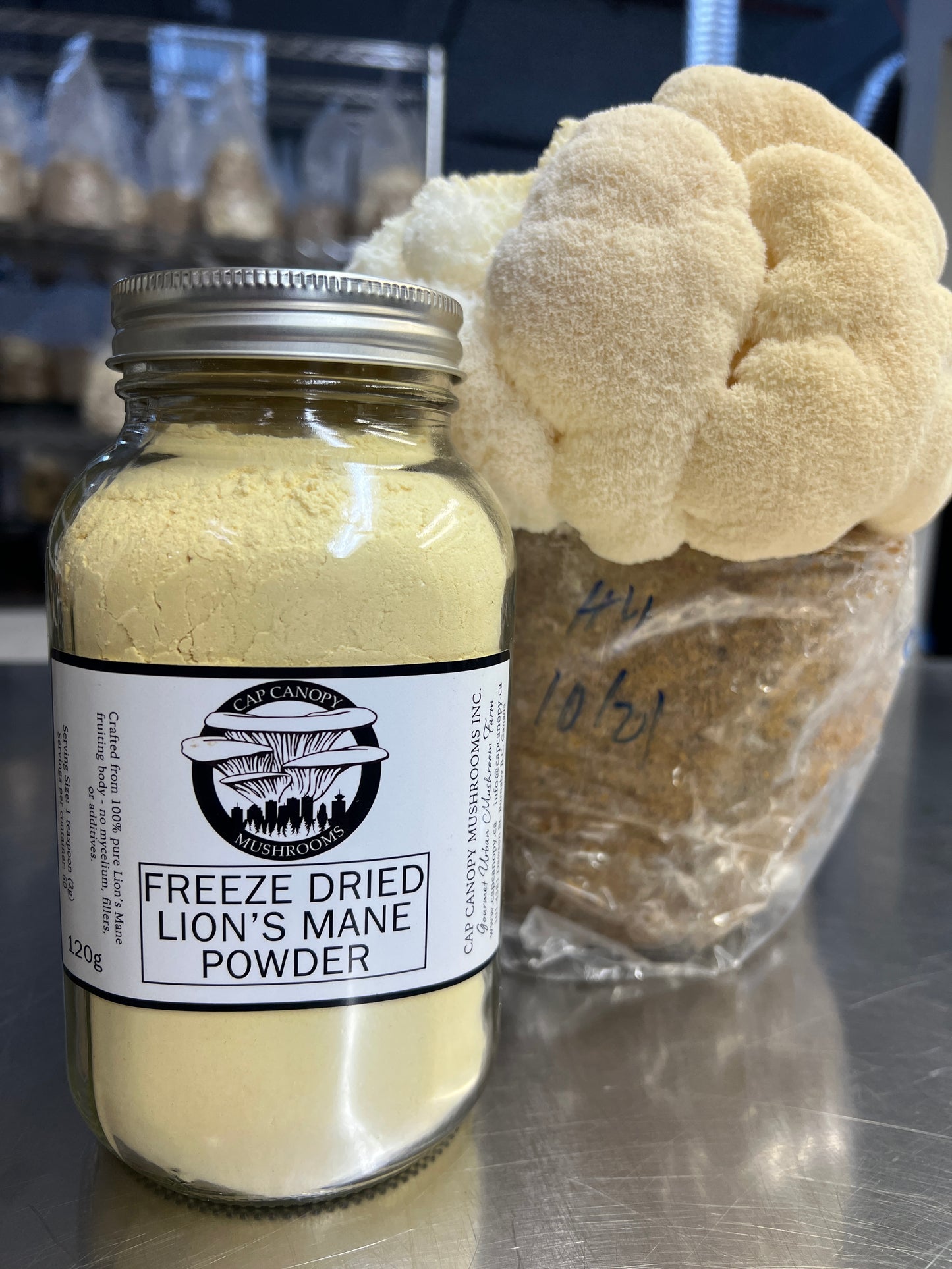 Freeze Dried Lion's Mane Powder 120g