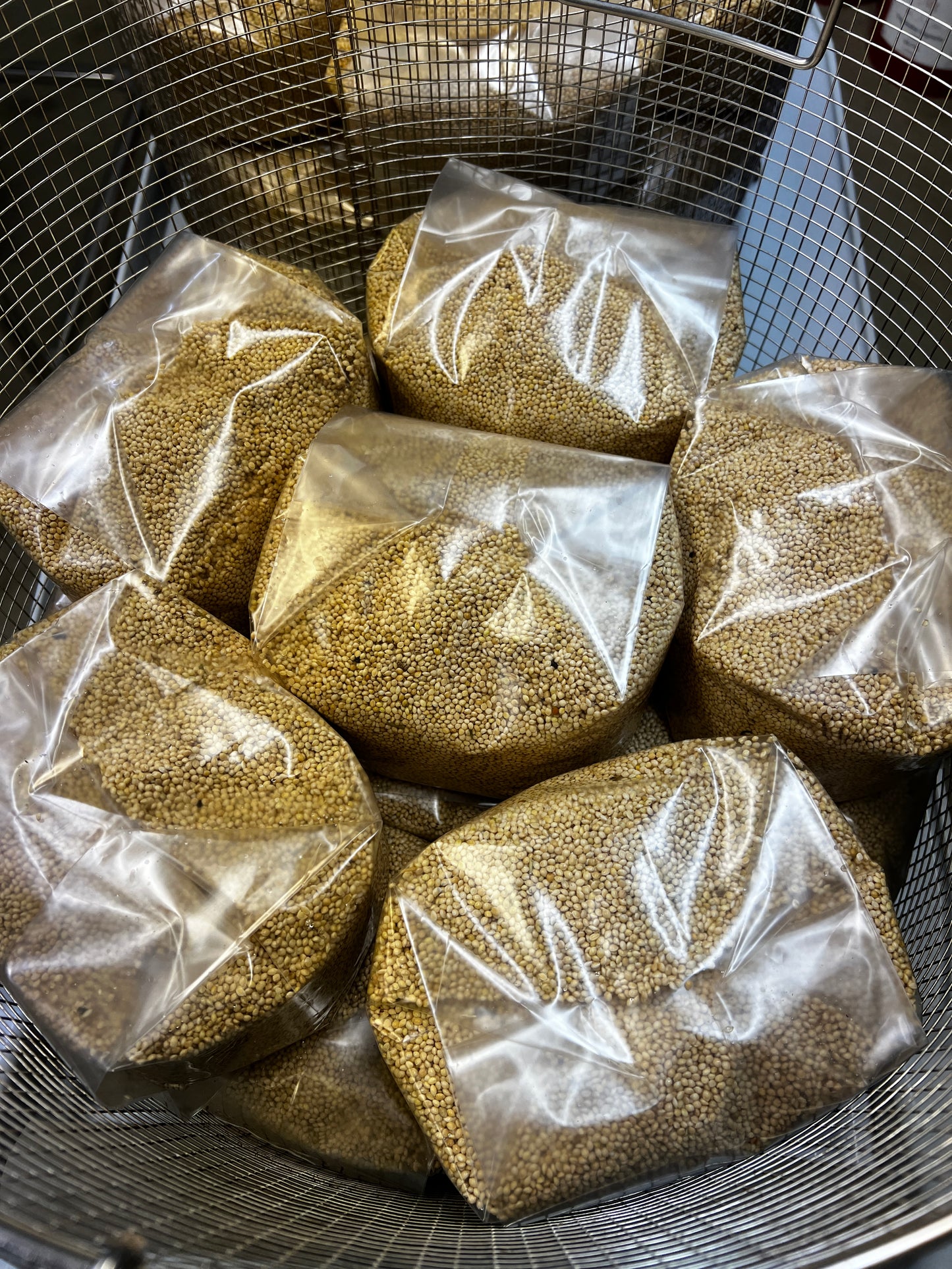 3lb Sterile White Millet Grain