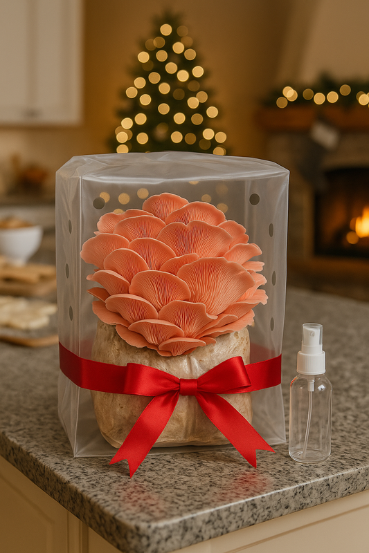 Oyster Mushrooms Grow Kit Instructions