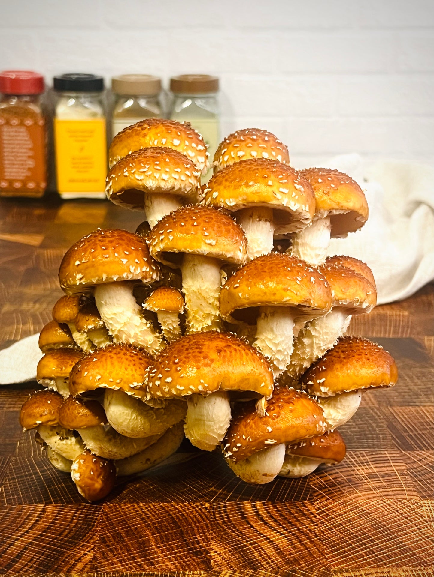Fresh Chestnut Mushrooms