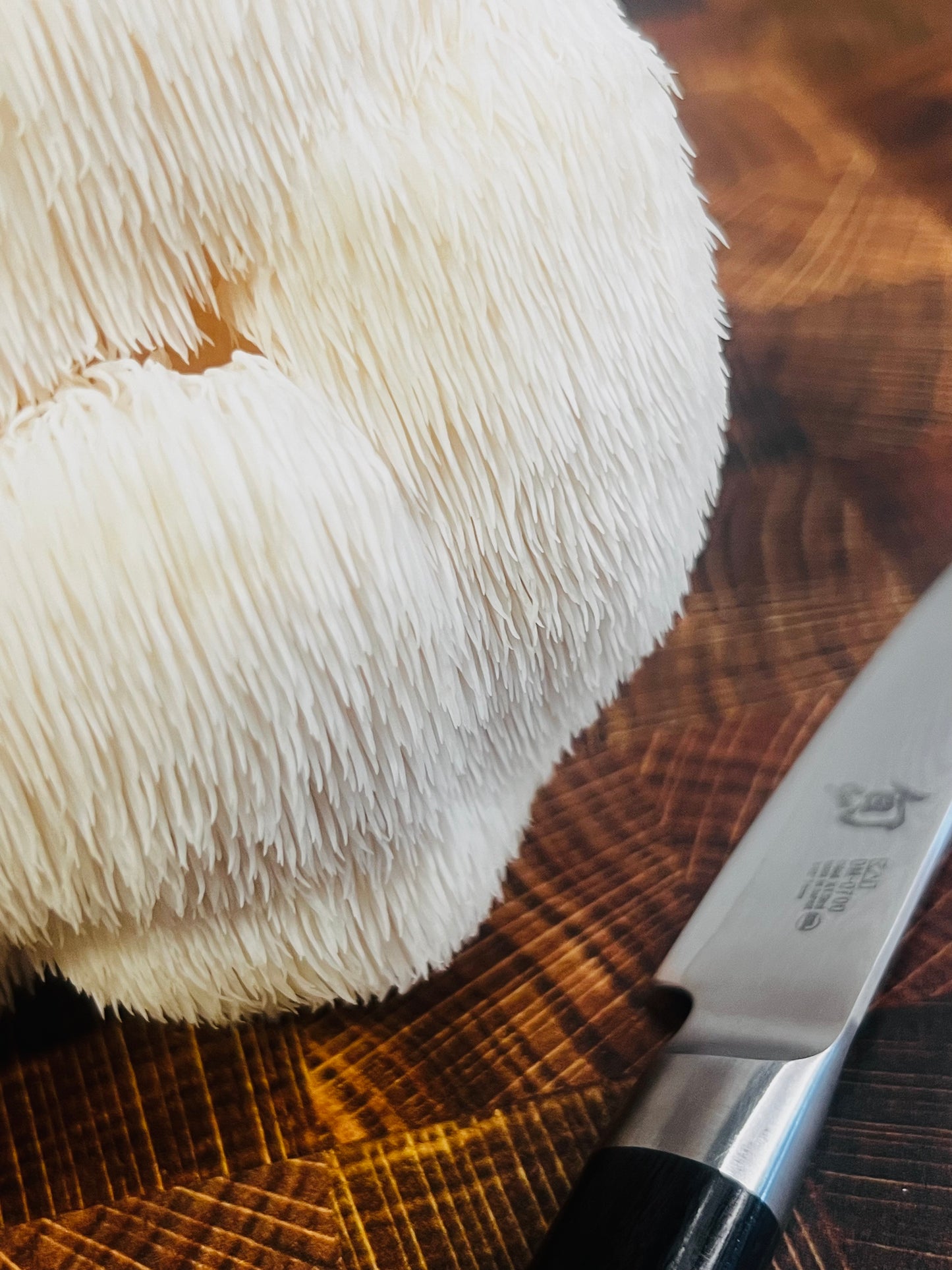 Fresh Lion's Mane Mushrooms