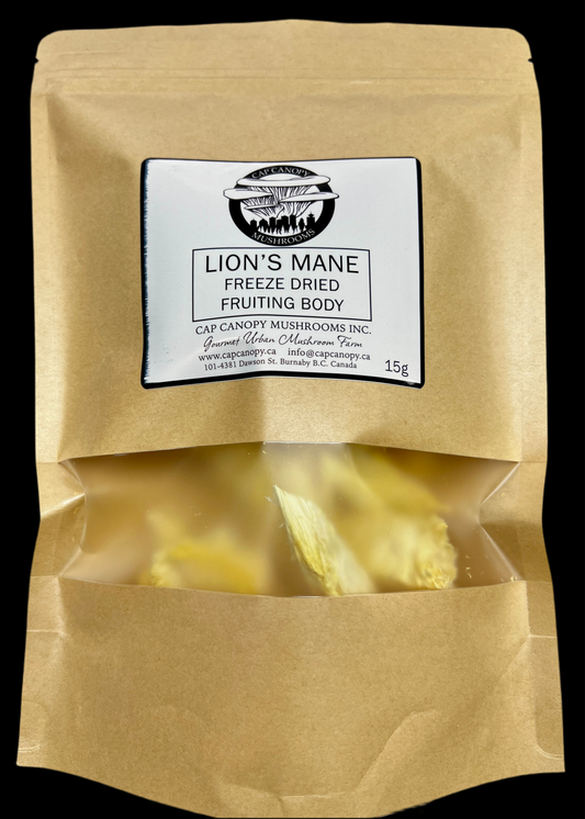 Freeze Dried Lion's Mane 15g