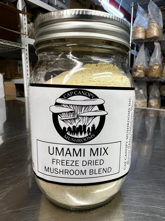 Umami Mix 40g