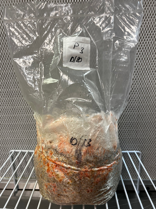 3lb Pink Oyster Millet Grain Spawn