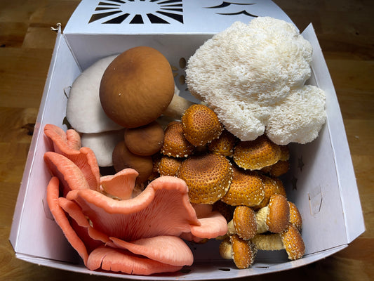 1lb Fresh Mix - Fresh Mushroom Mix